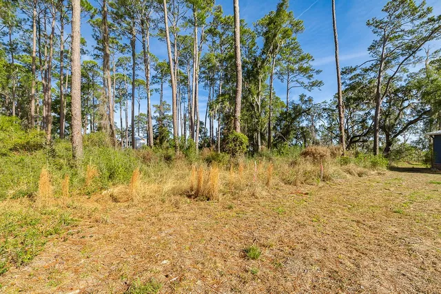 $159,000 | 0 Oak Bluff Road Southeast, McRae-Helena, GA 31037