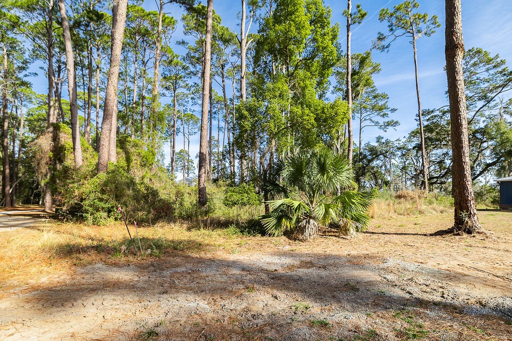 0 Oak Bluff Road Southeast McRae-Helena, GA 31037 - Photo 42 of 46