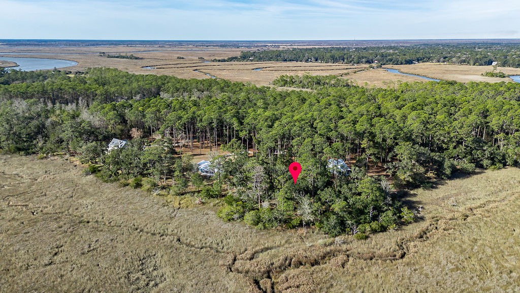 0 Oak Bluff Road Southeast McRae-Helena, GA 31037 - Photo 6 of 46