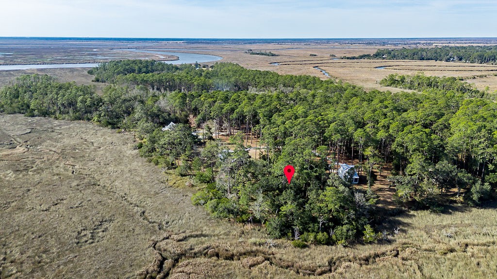 0 Oak Bluff Road Southeast McRae-Helena, GA 31037 - Photo 7 of 46