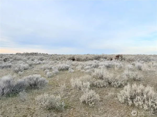 an aerial view of ocean and trees