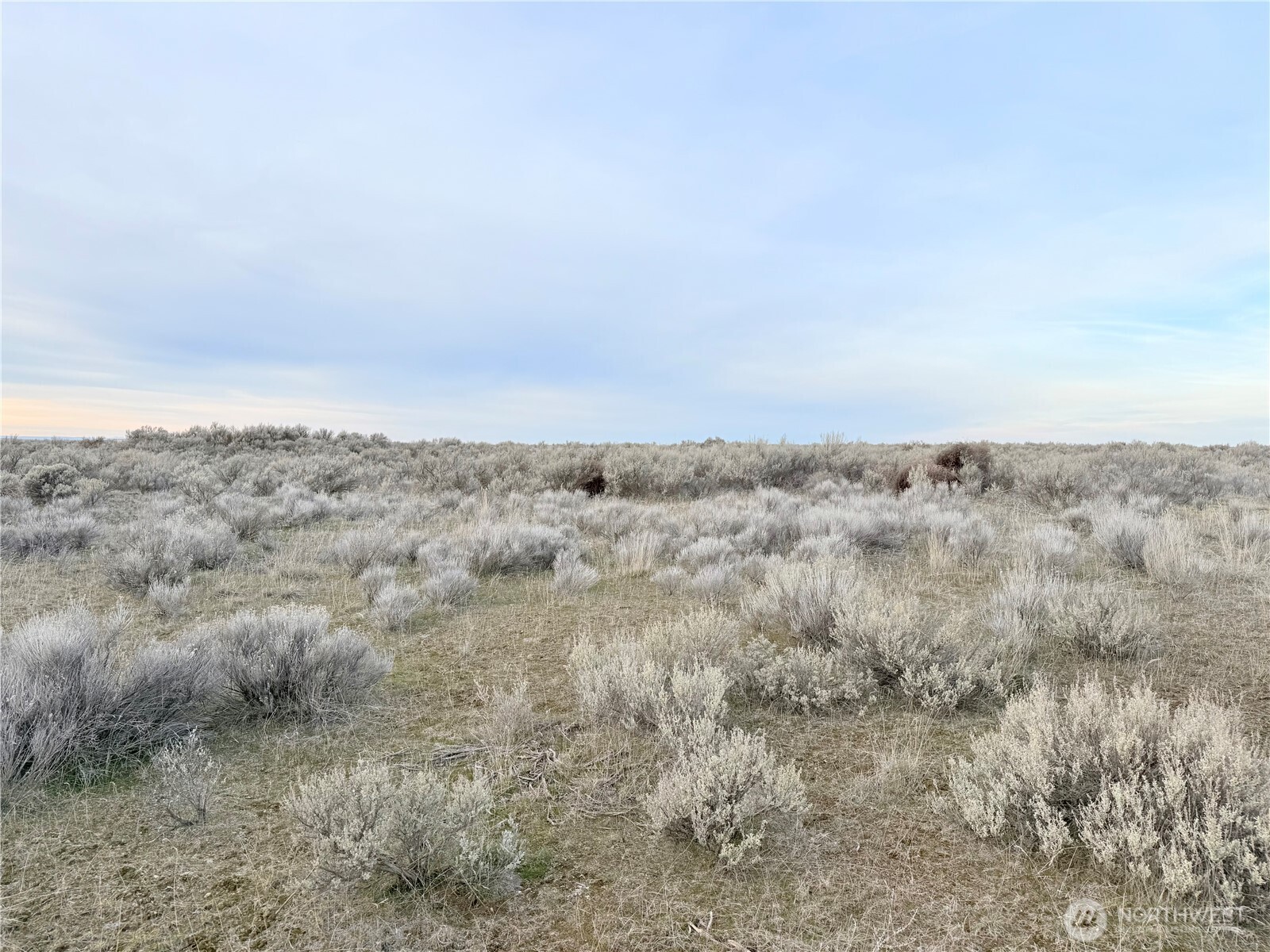 an aerial view of ocean and trees