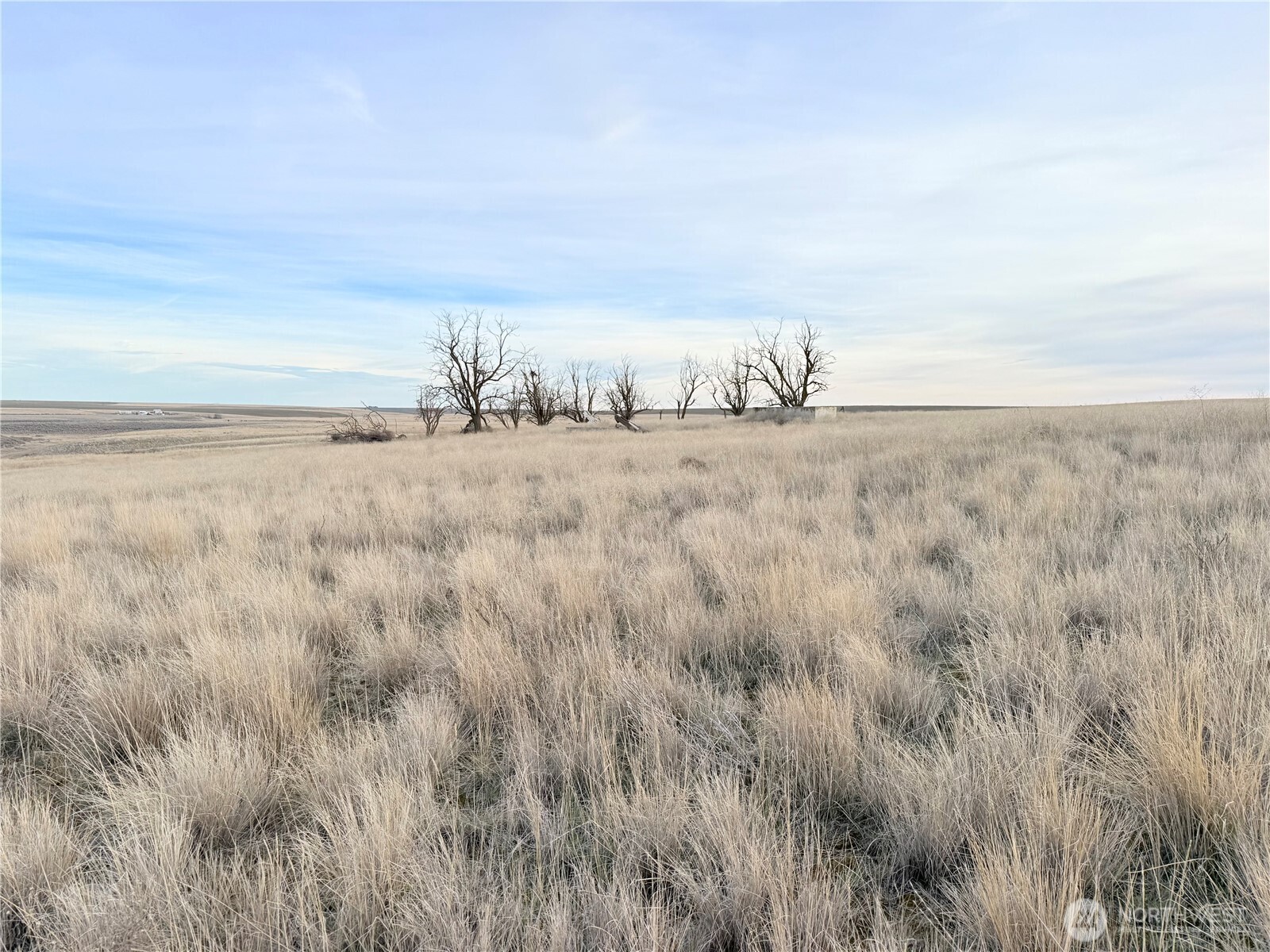 0 15.6 Road Marlin, WA 98832 - Photo 18 of 35 a view of a dry grass field
