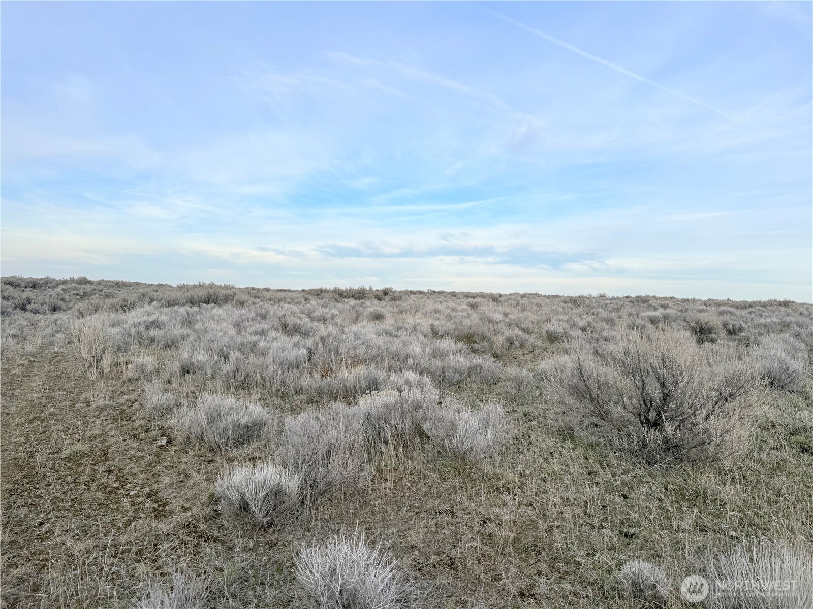 0 15.6 Road Marlin, WA 98832 - Photo 8 of 35