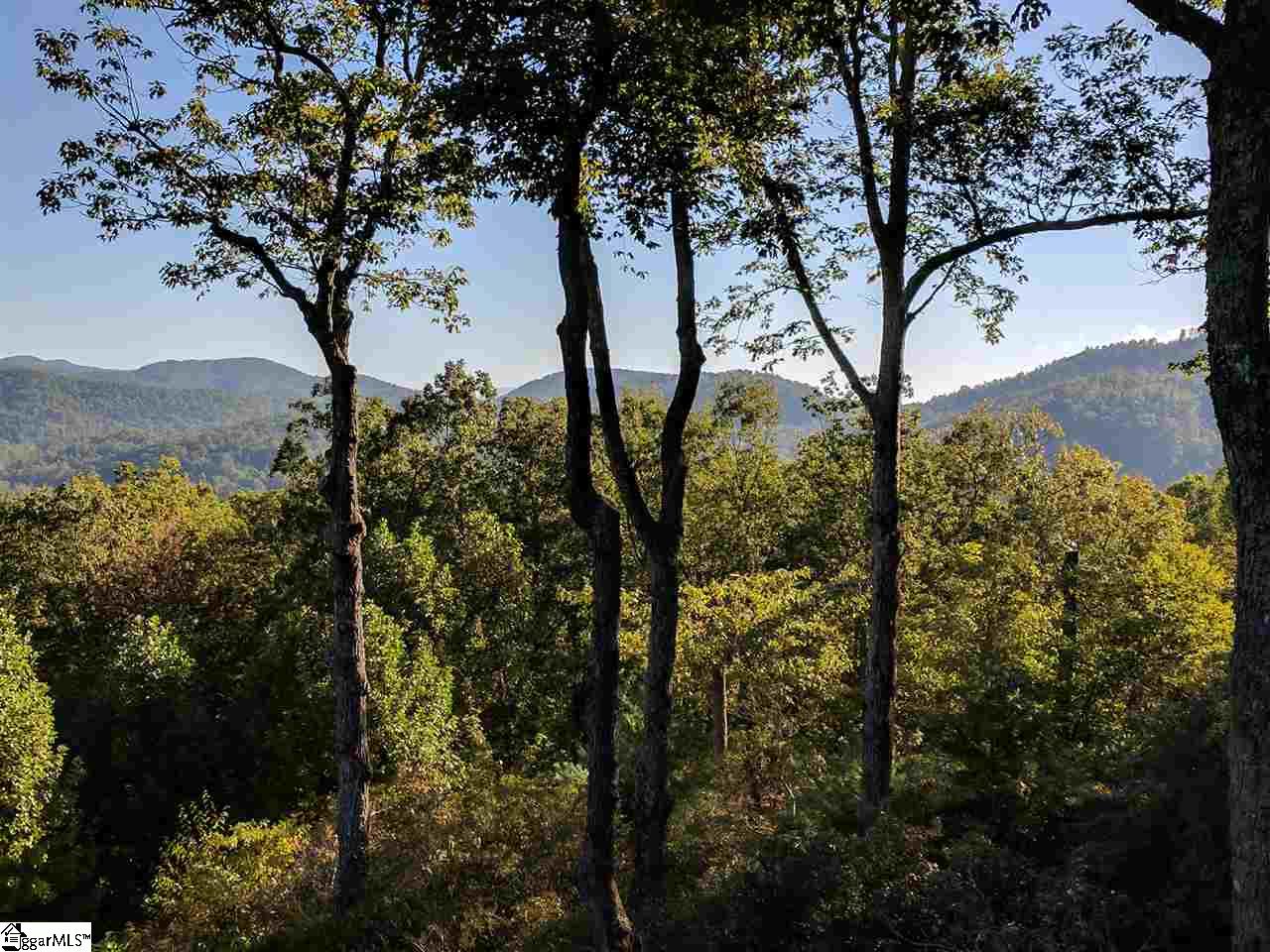 1 High Laurel Way Travelers Rest, SC 29690 - Photo 26 of 35