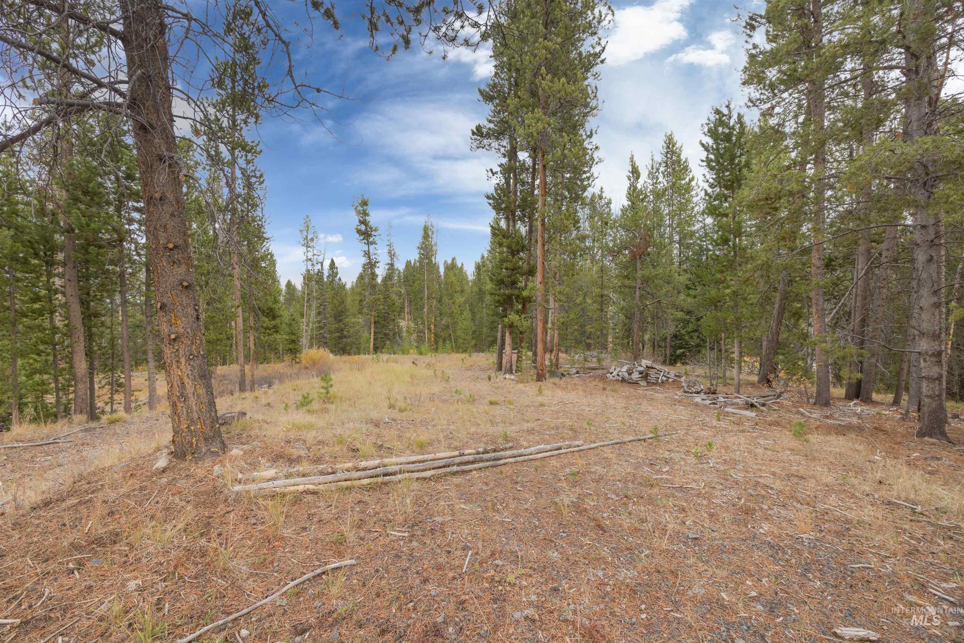773 Smiley Creek Road Ketchum, ID 83340 - Photo 8 of 27 View of yard with a view of trees