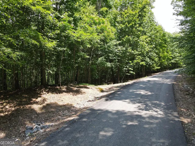 a view of a road with a trees