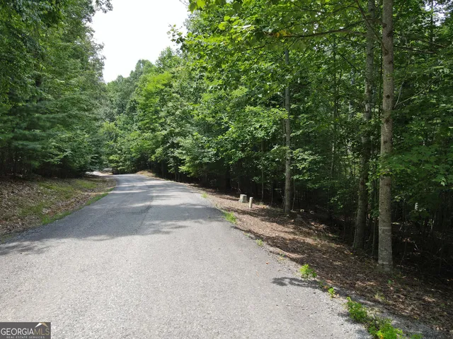 a view of a street with a trees