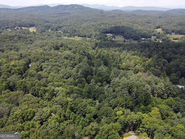 a view of a lush green forest with trees and some houses
