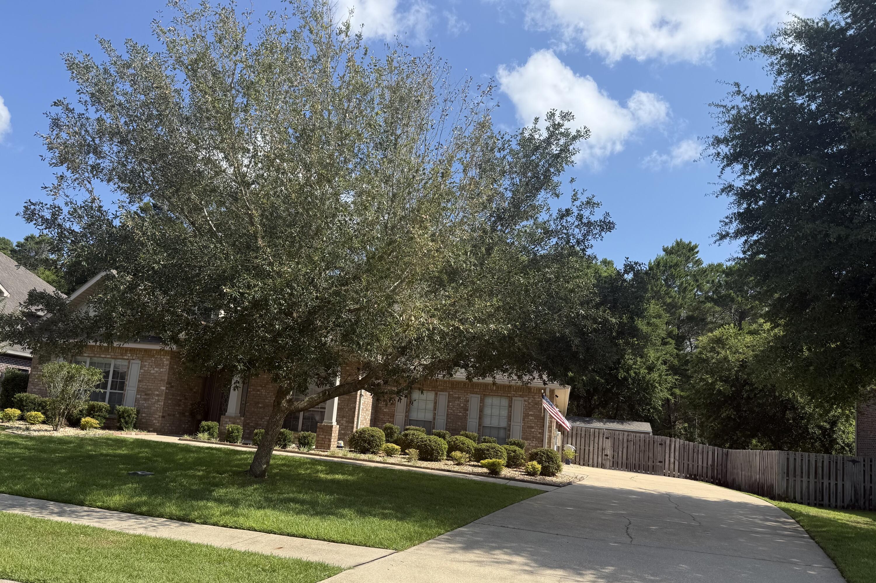 356 Whispering Way Freeport, FL 32439 - Photo 3 of 15 IMG_3961