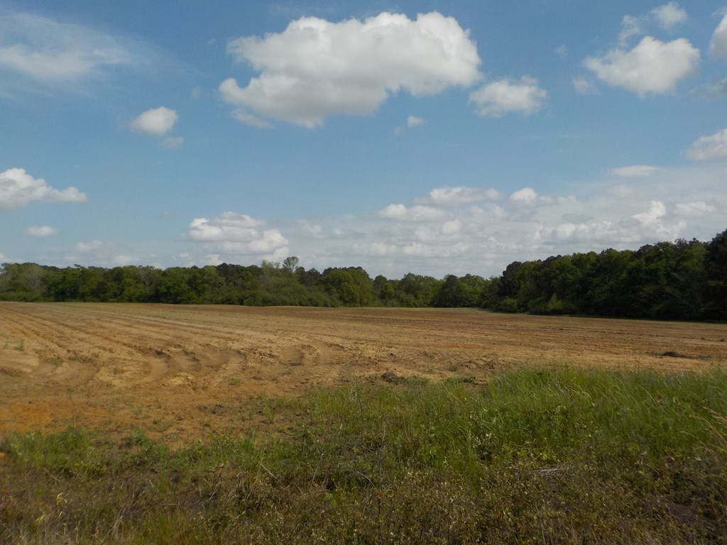 5.3-ac Memphis Church Road Dothan, AL 36301 - Photo 22 of 29