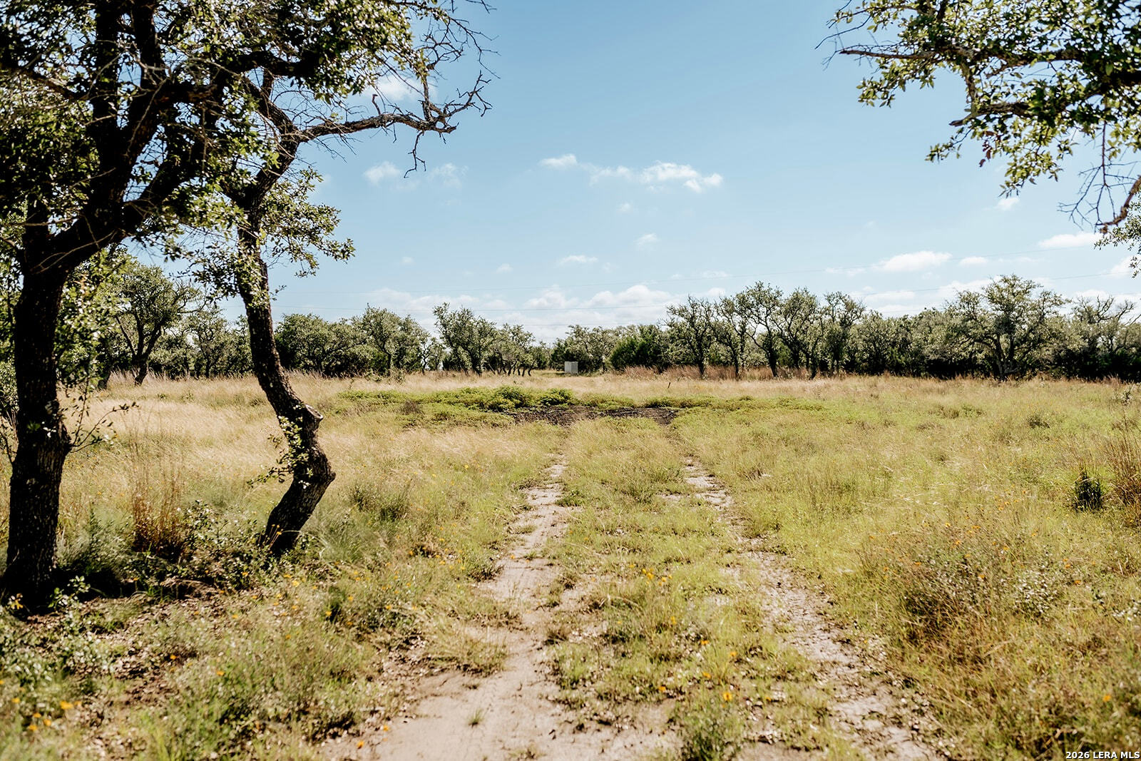 Tbd Brecken Ranch Road Stonewall, TX 78671 - Photo 10 of 20 Gallery Image 10