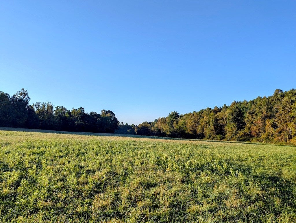Tbd Daniels Run Road Northeast, Unit 1 Check, VA 24072 - Photo 7 of 24 Gallery Image 7