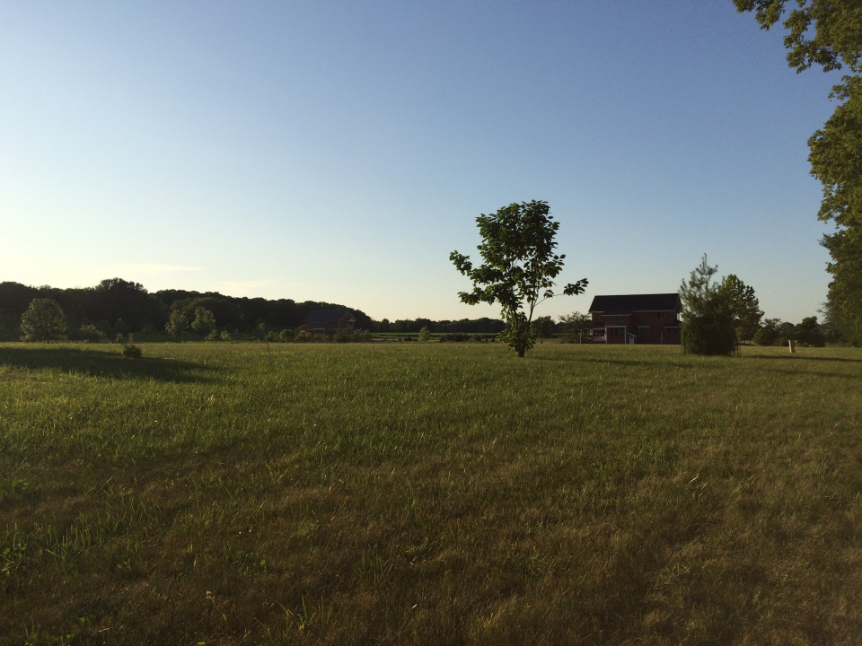 2808 Brickhouses Road Urbana, IL 61802 - Photo 4 of 9 a view of a lake with a mountain in the background
