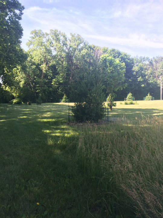 2808 Brickhouses Road Urbana, IL 61802 - Photo 5 of 9 a view of a lake view