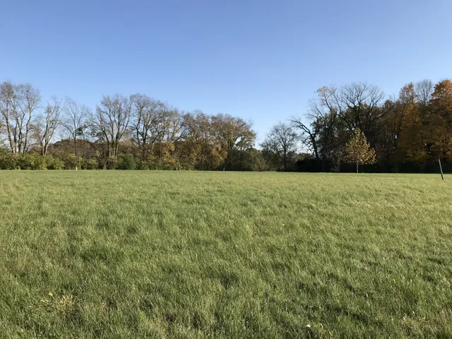 a view of a field with trees in the background