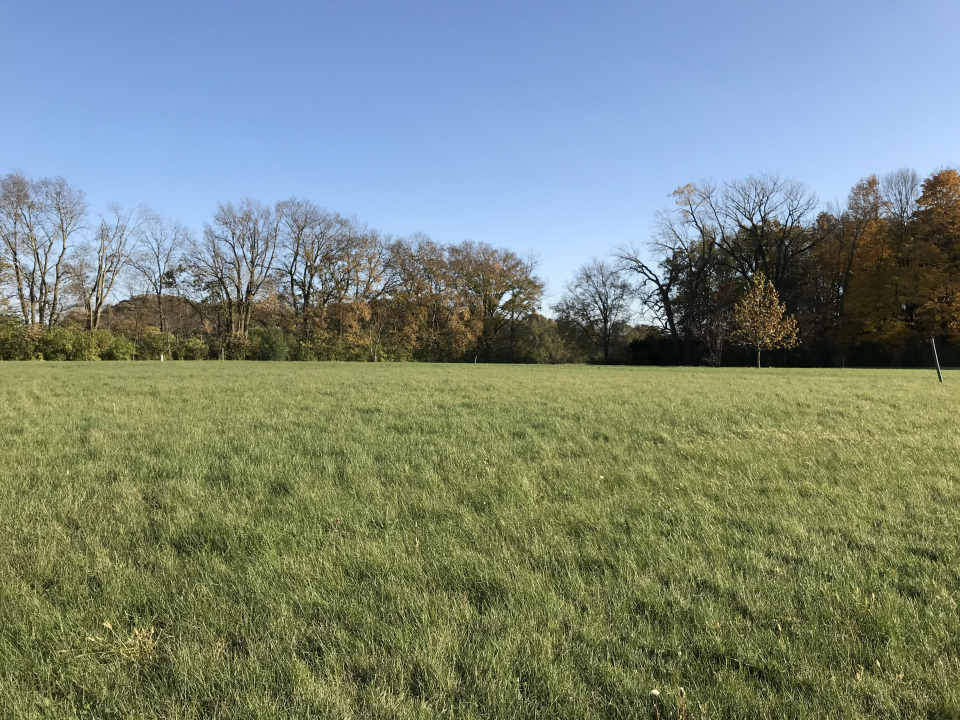 2808 Brickhouses Road Urbana, IL 61802 - Photo 8 of 9 a view of a field with trees in the background