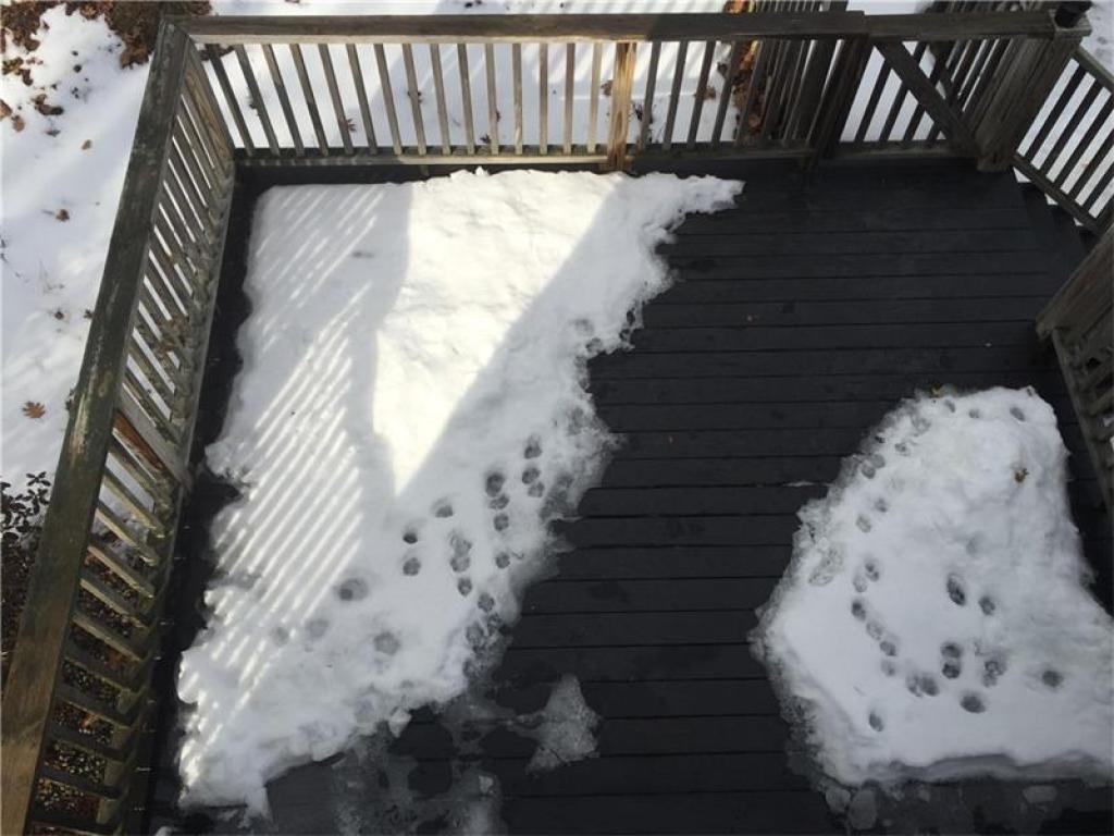 2 Silver Ridge Drive York, ME 03909 - Photo 28 of 29