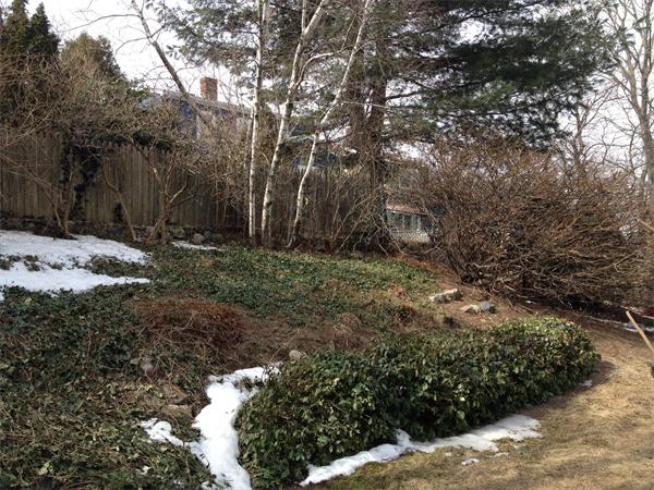 7 Aberdeen Road Arlington, MA 02476 - Photo 15 of 22