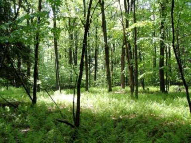 Bush Rd Spring Creek Spring Creek, PA 16436 - Photo 1 of 1