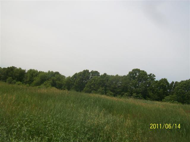 2187 Woodruff Road Hastings, MI 49058 - Photo 7 of 9 Additional Photo