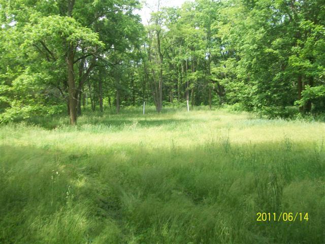 2187 Woodruff Road Hastings, MI 49058 - Photo 9 of 9 Additional Photo