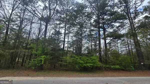 $110,000 | 0 Cherry Road, Franklin, GA 30217
