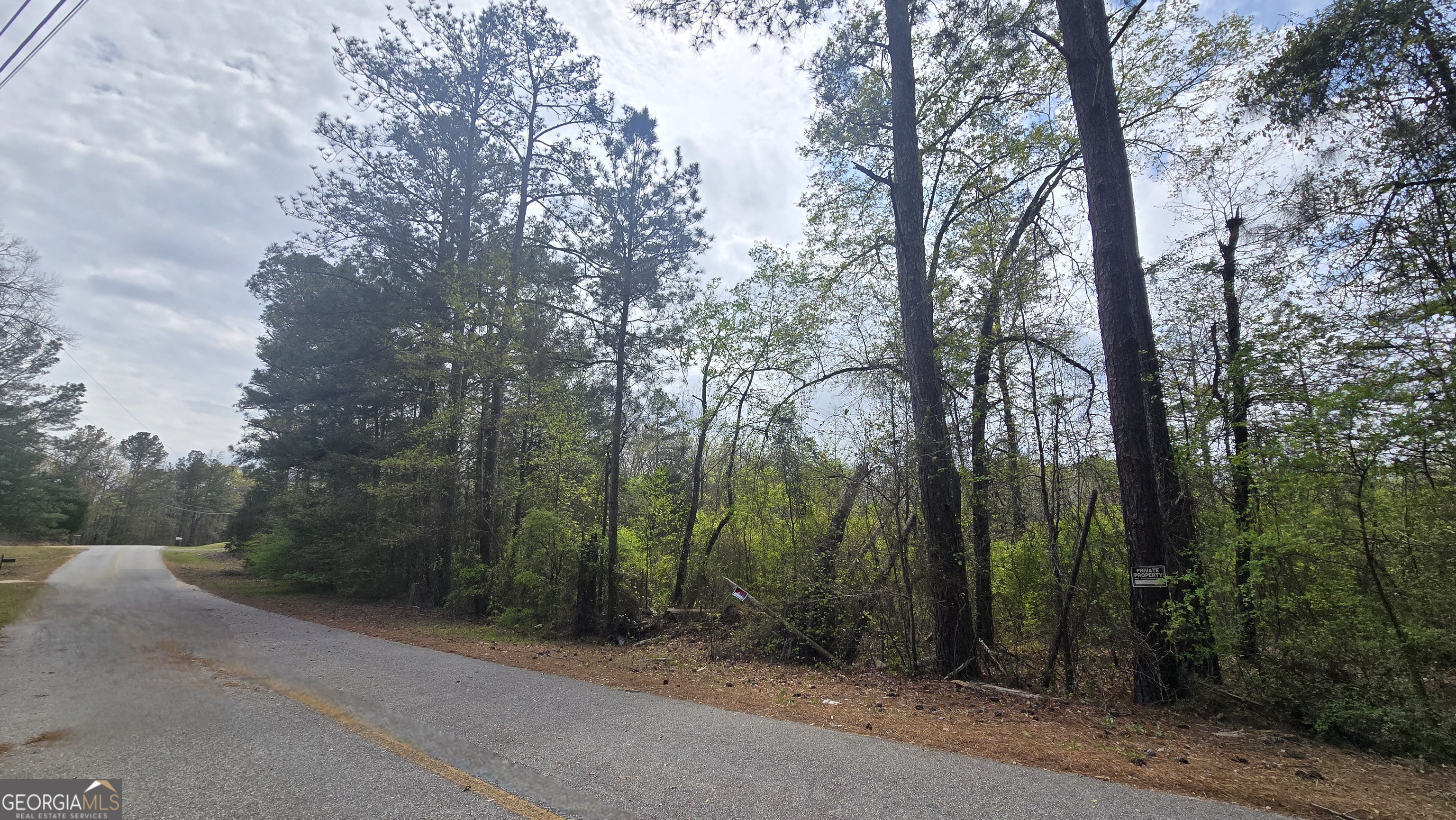 0 Cherry Road Franklin, GA 30217 - Photo 11 of 12