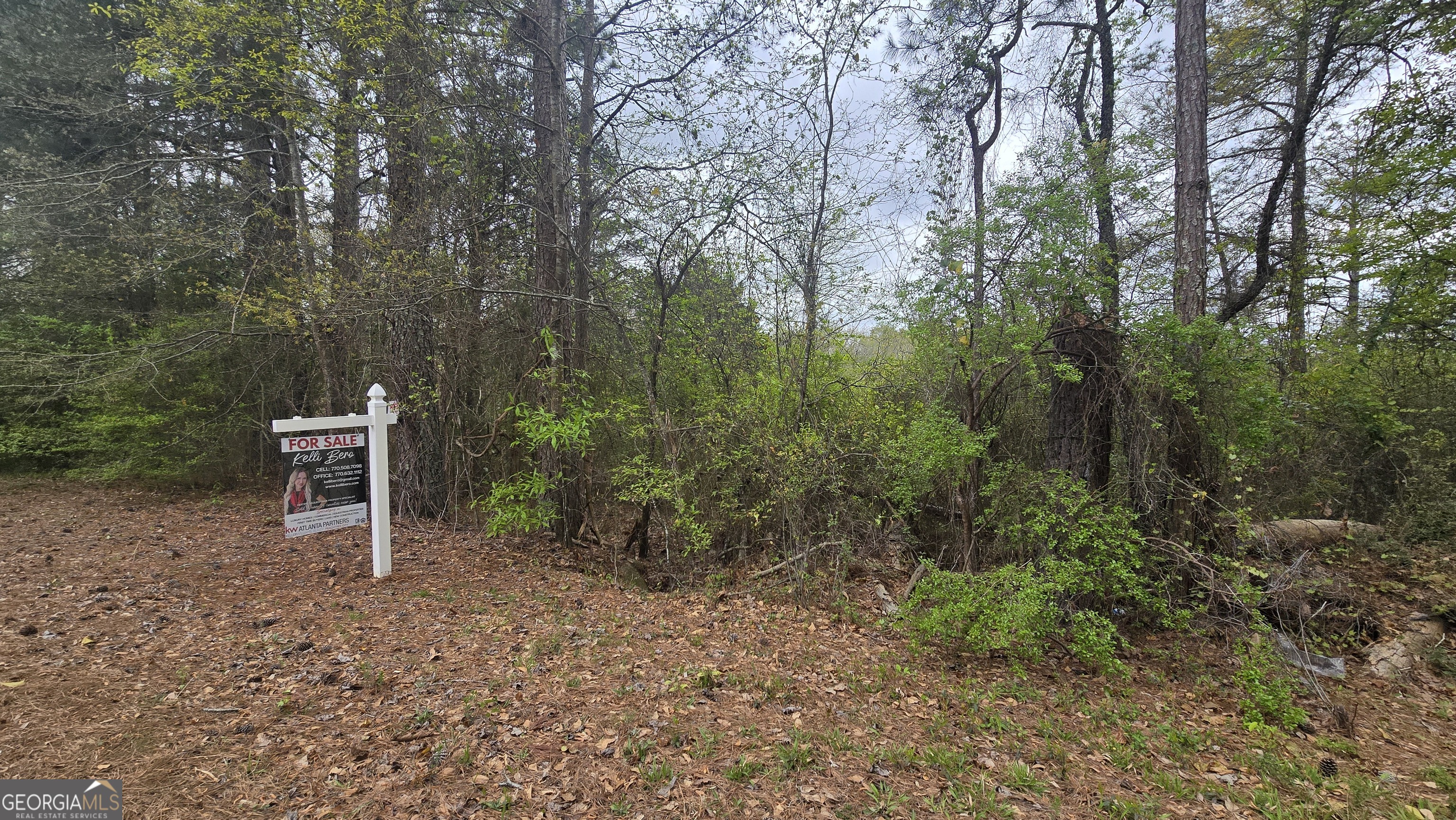 0 Cherry Road Franklin, GA 30217 - Photo 12 of 12