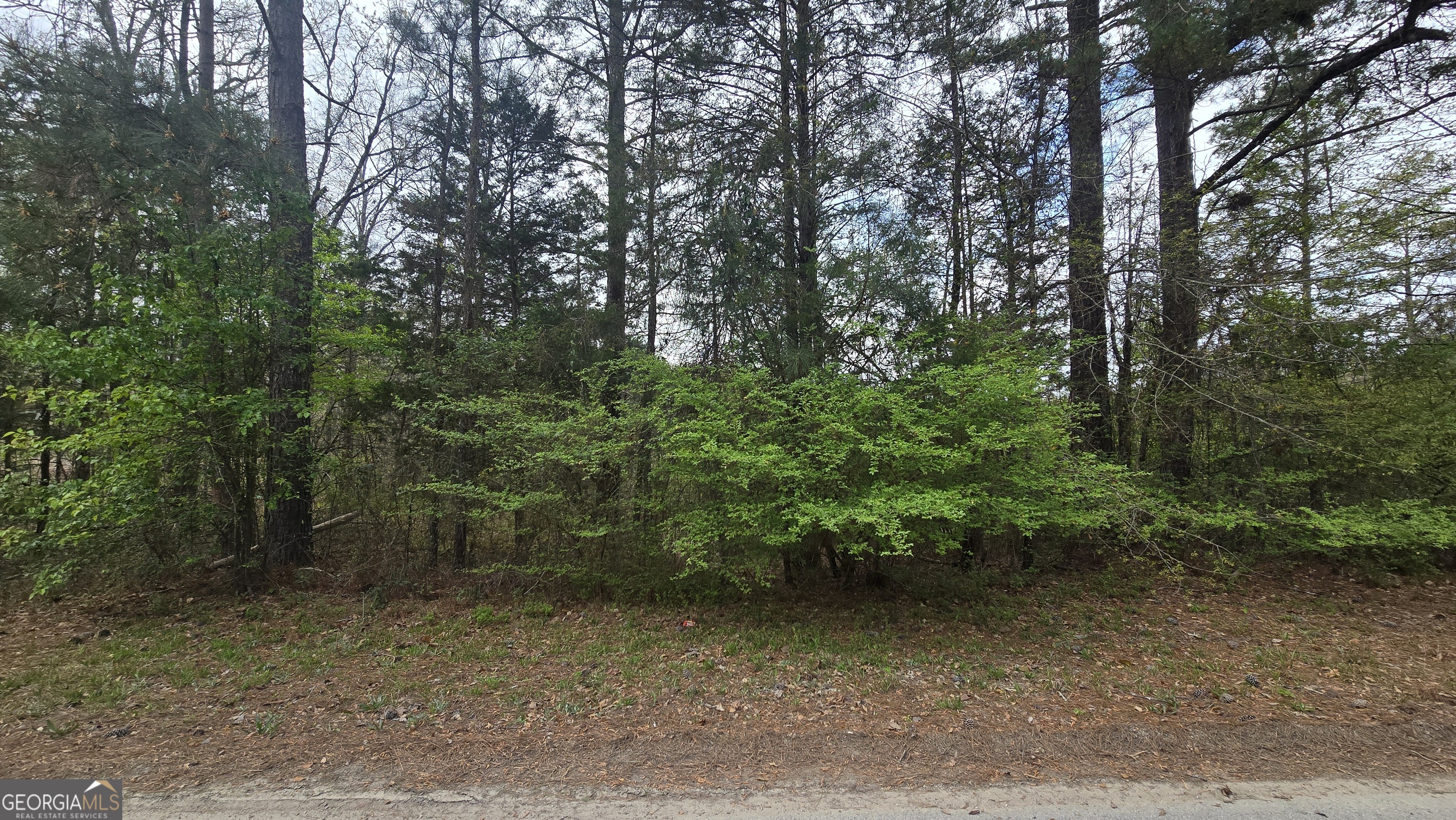 0 Cherry Road Franklin, GA 30217 - Photo 3 of 12