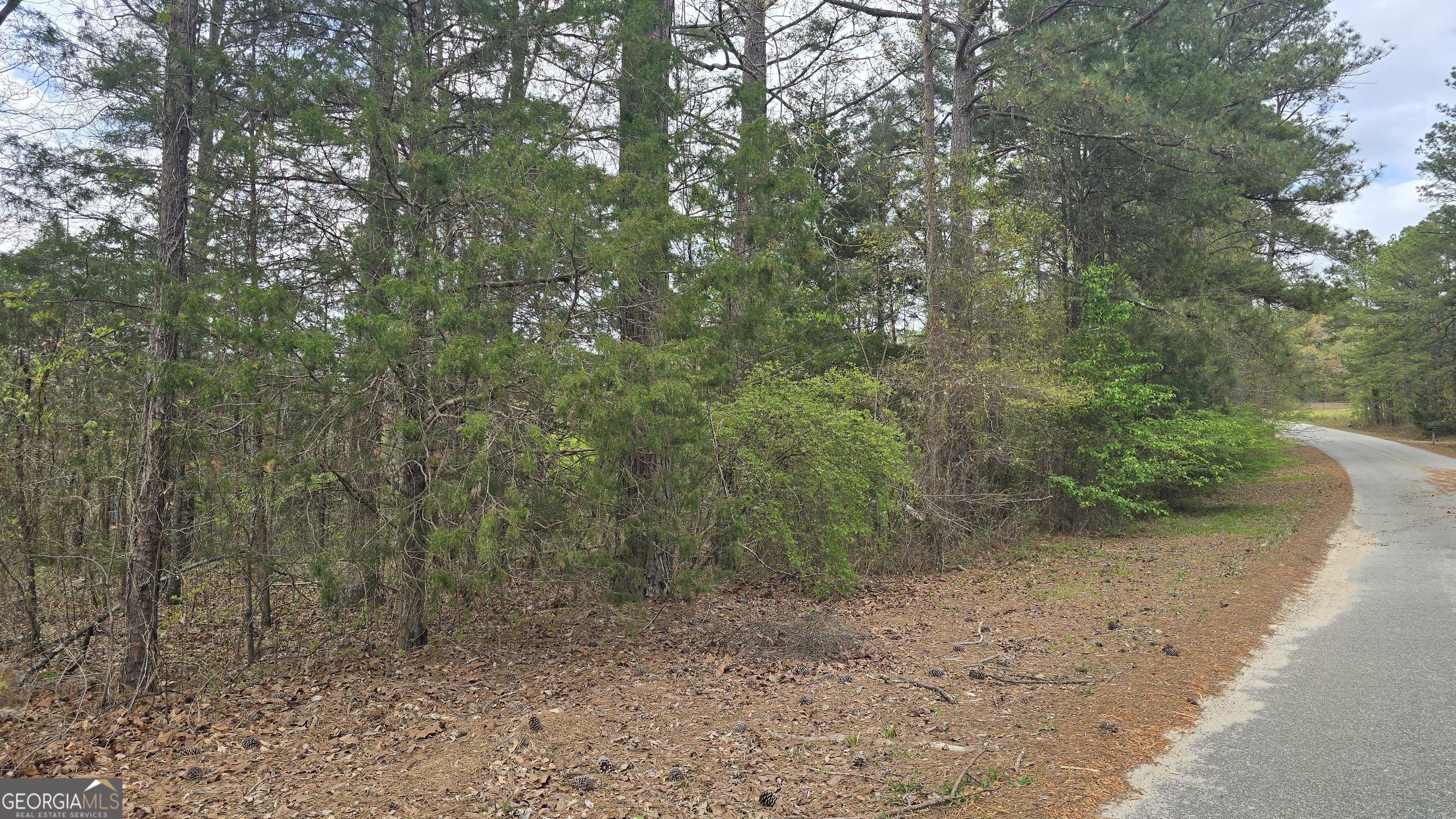 0 Cherry Road Franklin, GA 30217 - Photo 4 of 12