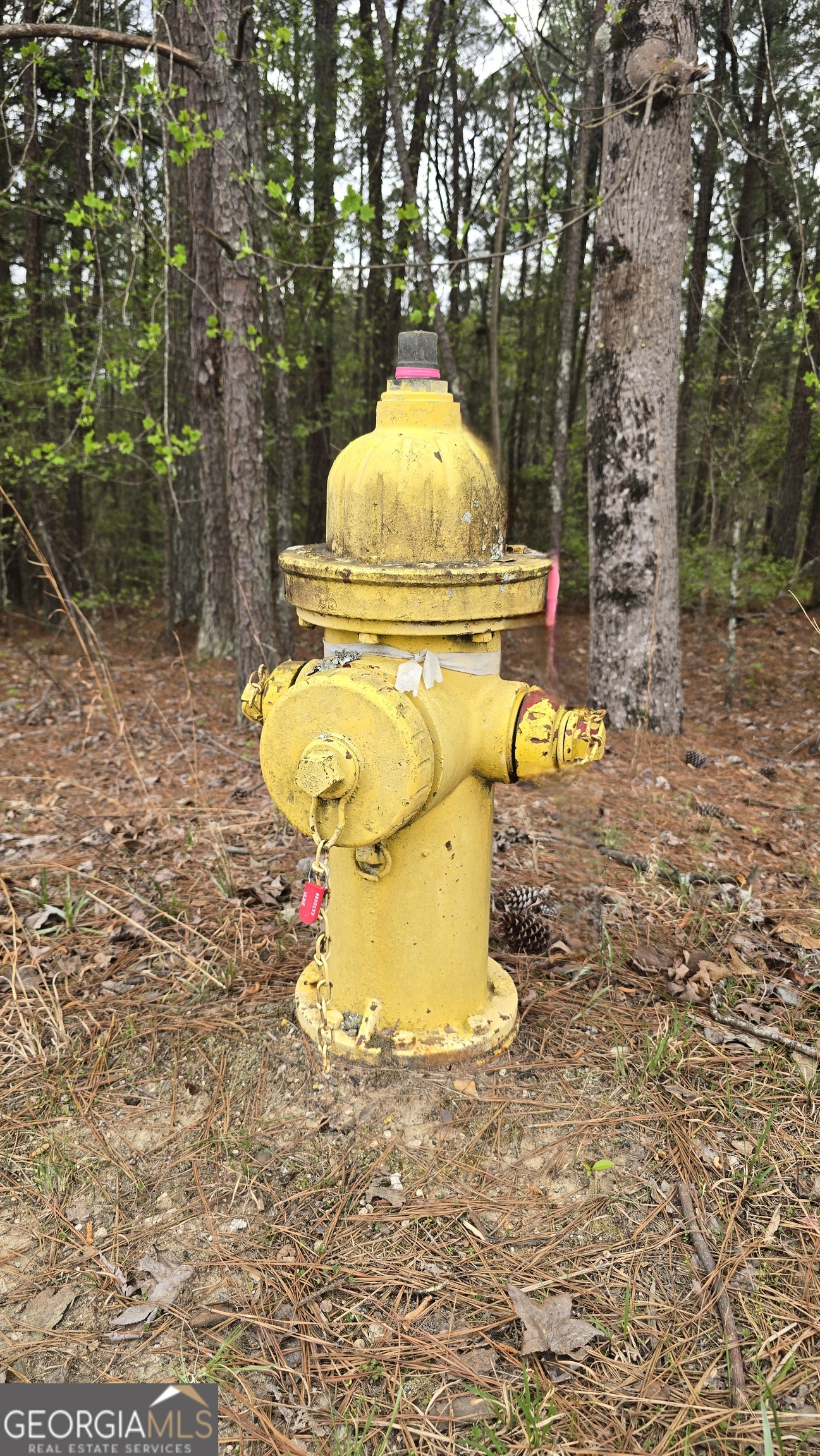 0 Cherry Road Franklin, GA 30217 - Photo 5 of 12