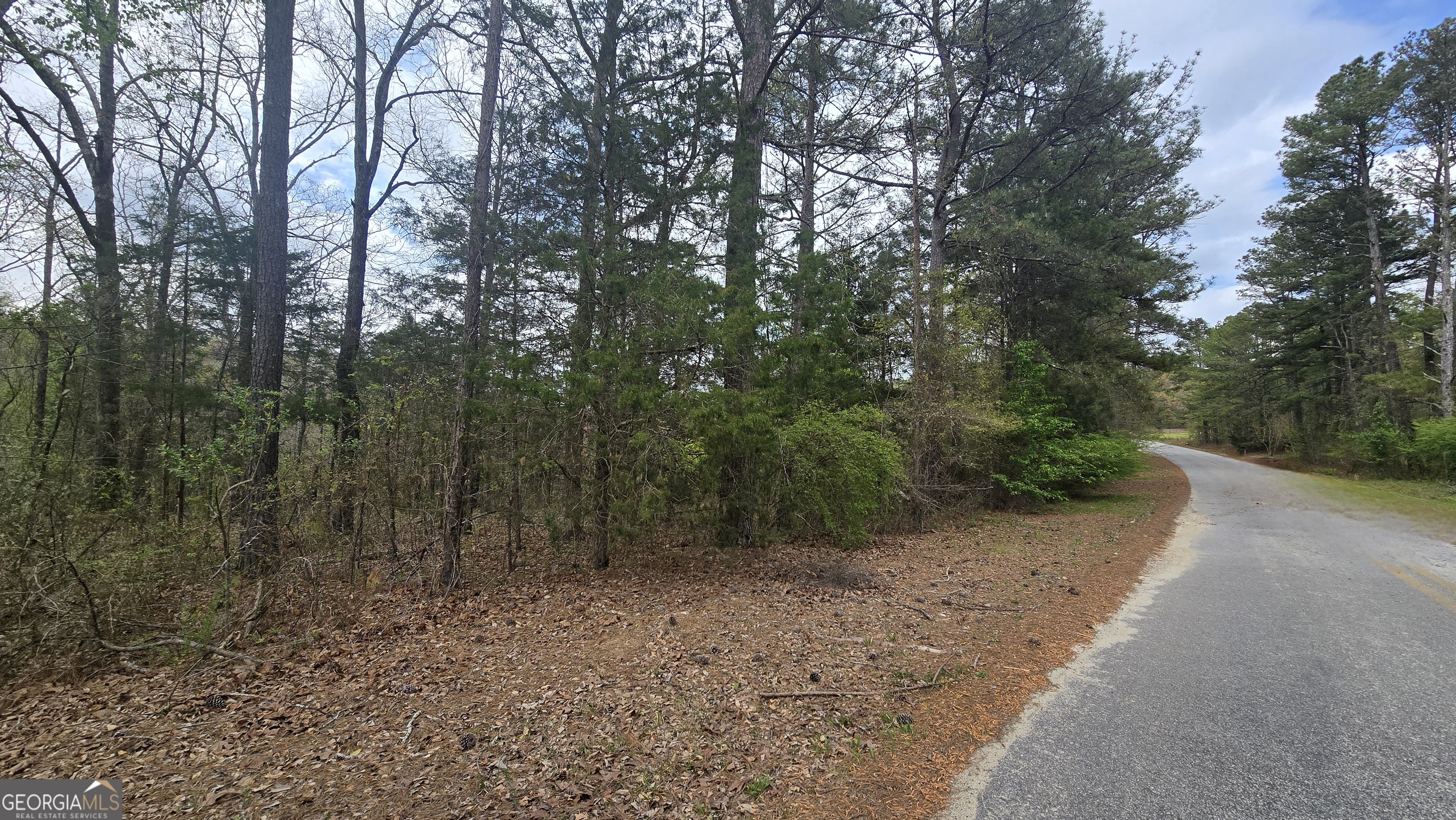 0 Cherry Road Franklin, GA 30217 - Photo 6 of 12