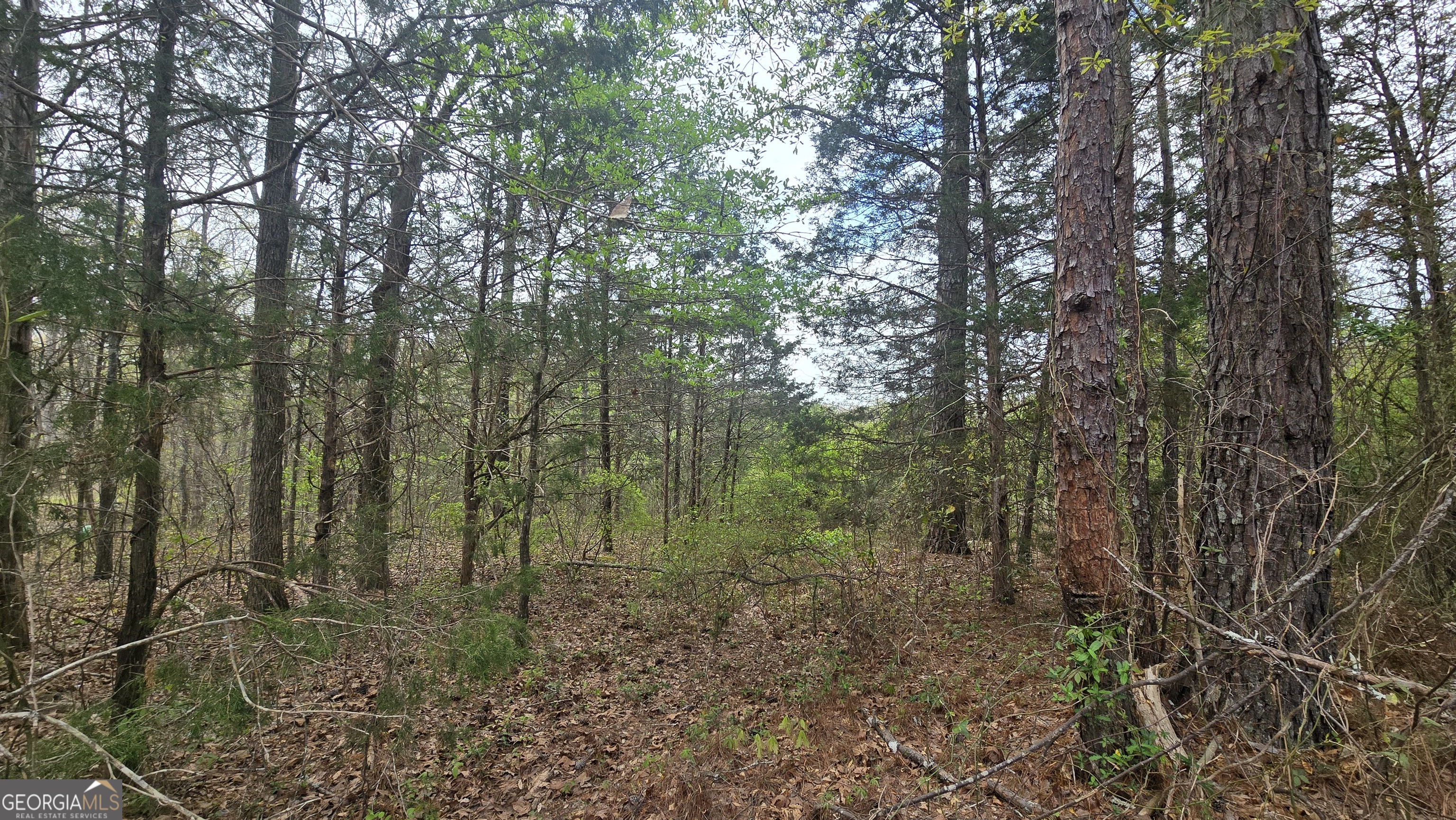 0 Cherry Road Franklin, GA 30217 - Photo 7 of 12