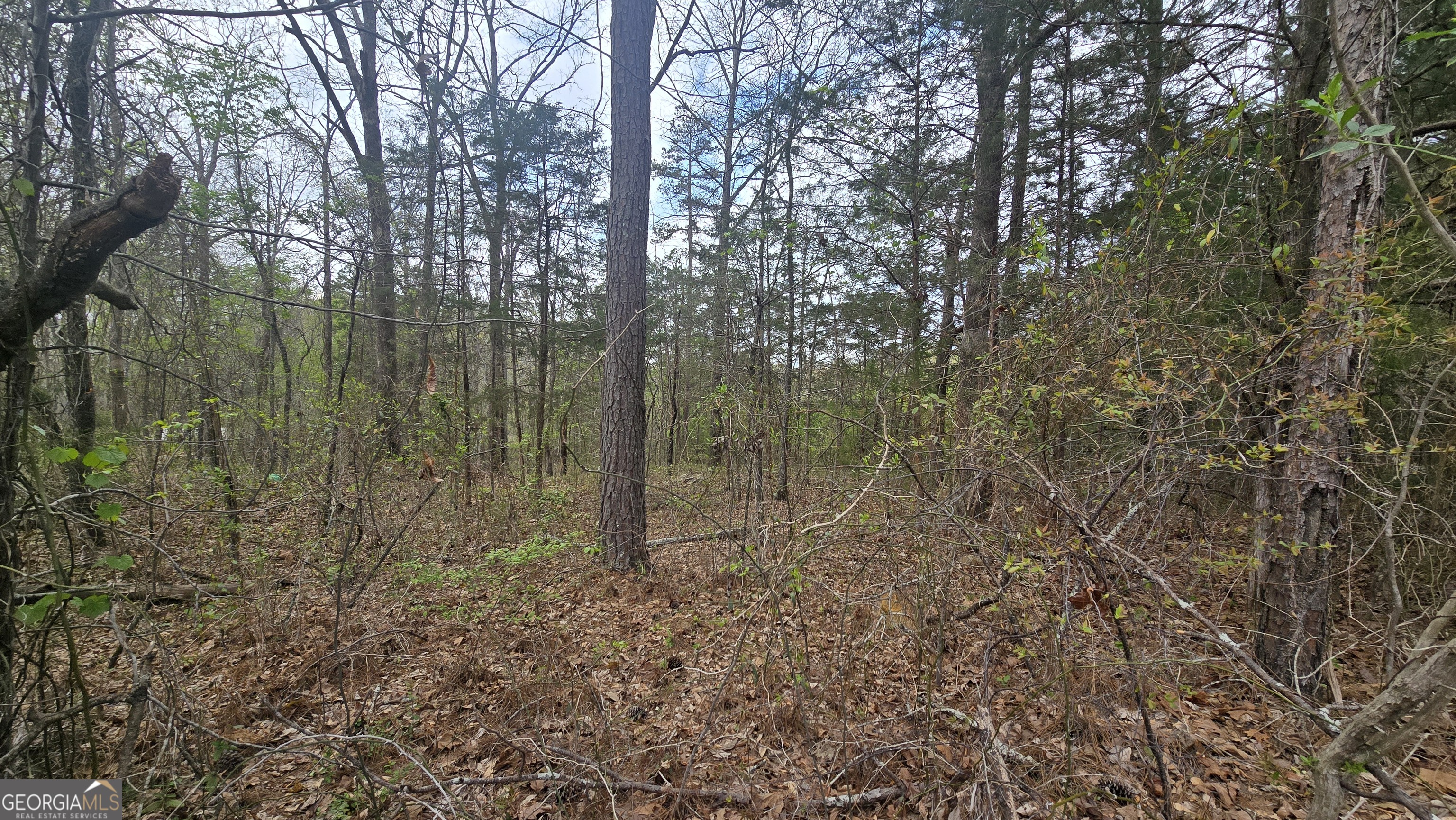 0 Cherry Road Franklin, GA 30217 - Photo 8 of 12