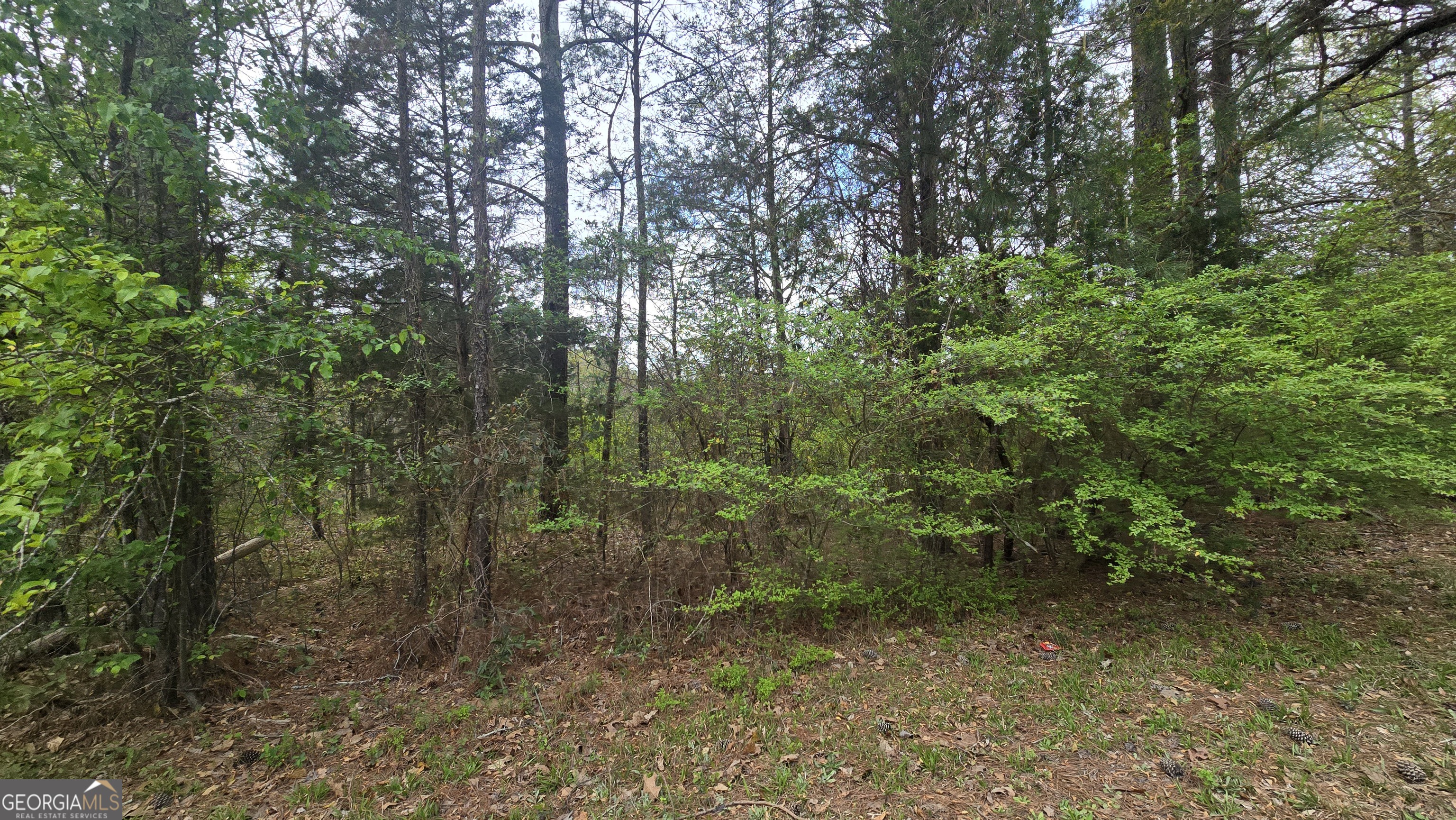 0 Cherry Road Franklin, GA 30217 - Photo 9 of 12