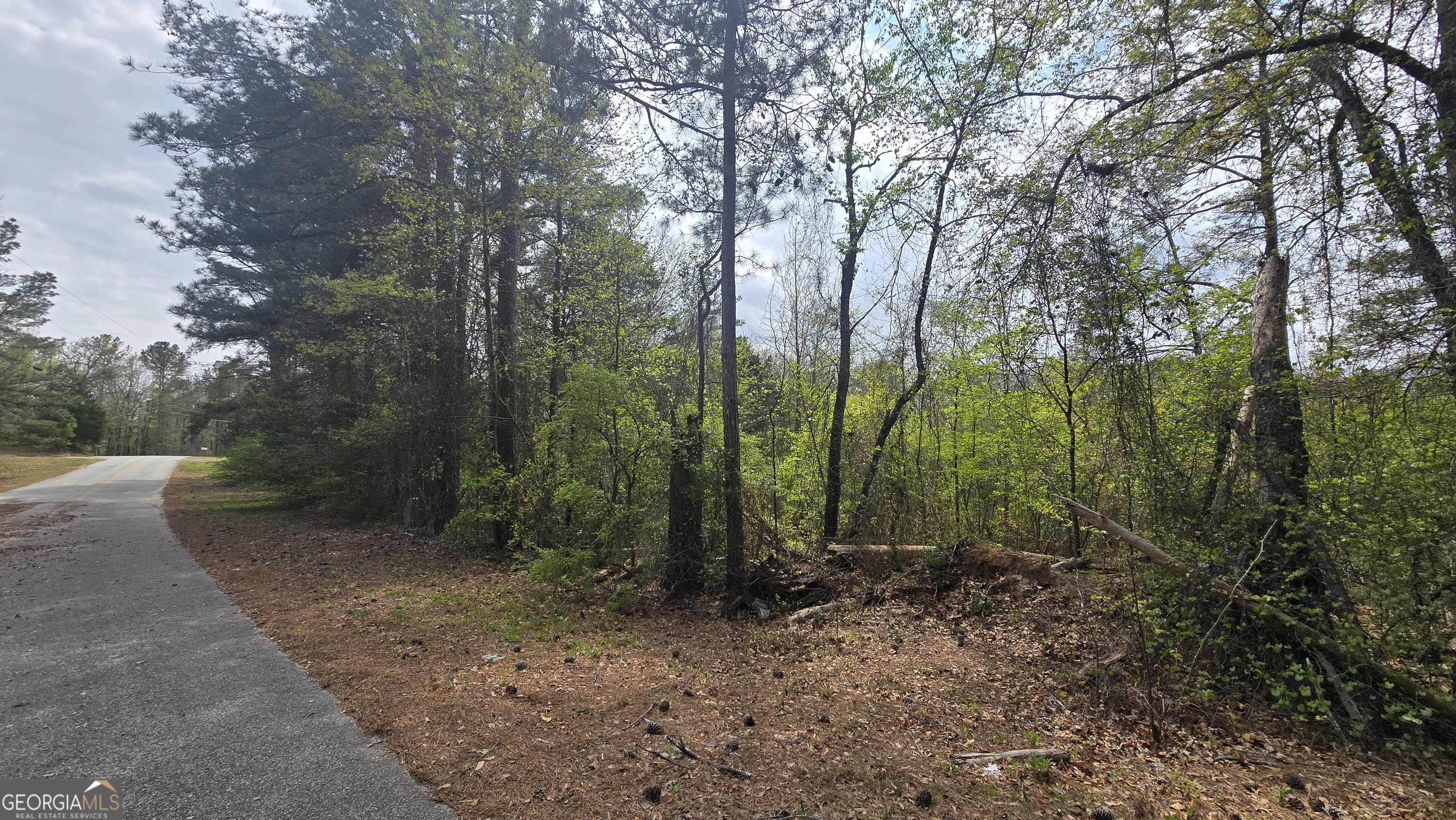 0 Cherry Road Franklin, GA 30217 - Photo 10 of 12