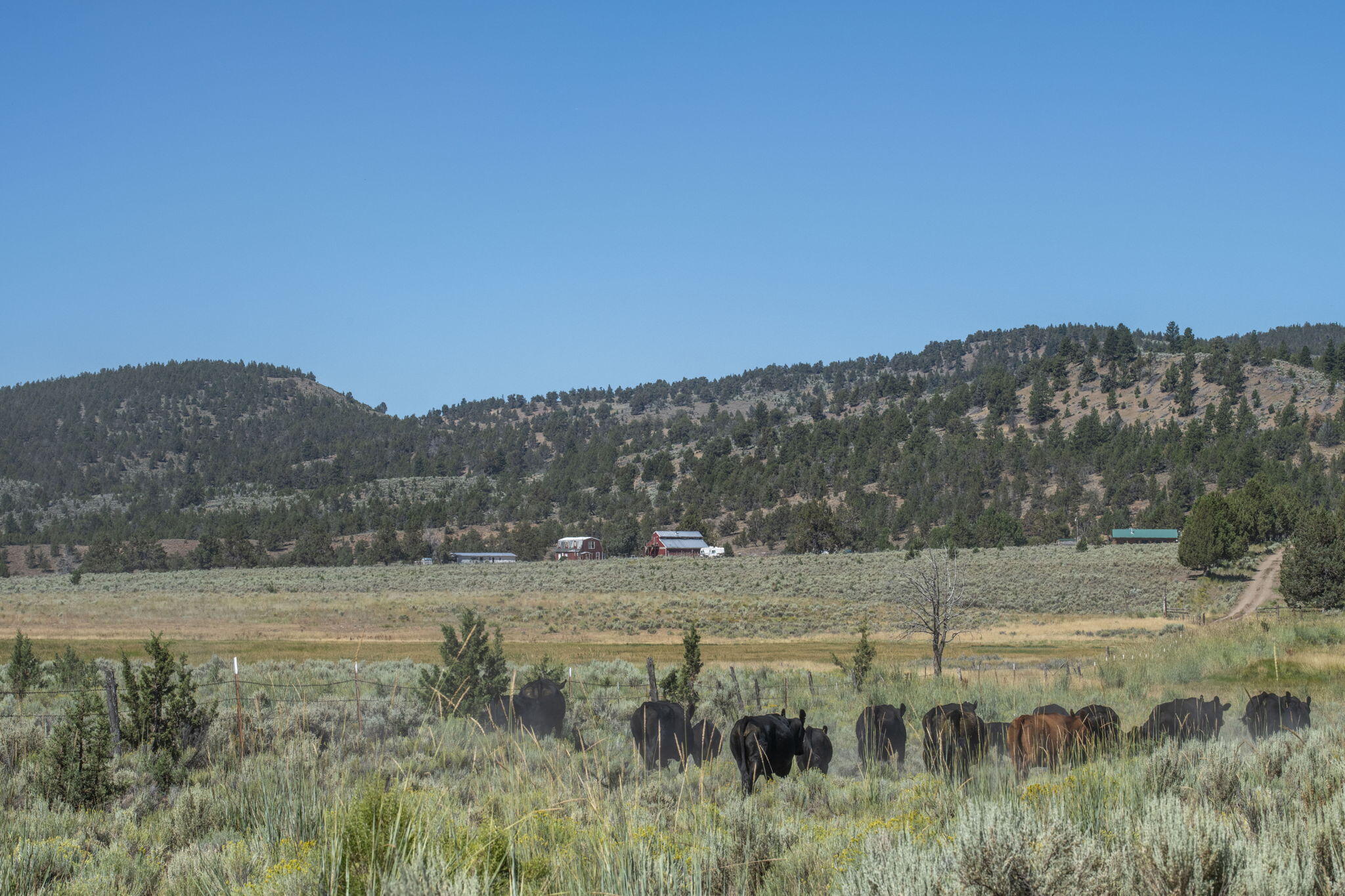 32500 Tackman Road Prineville, OR 97754 - Photo 71 of 112