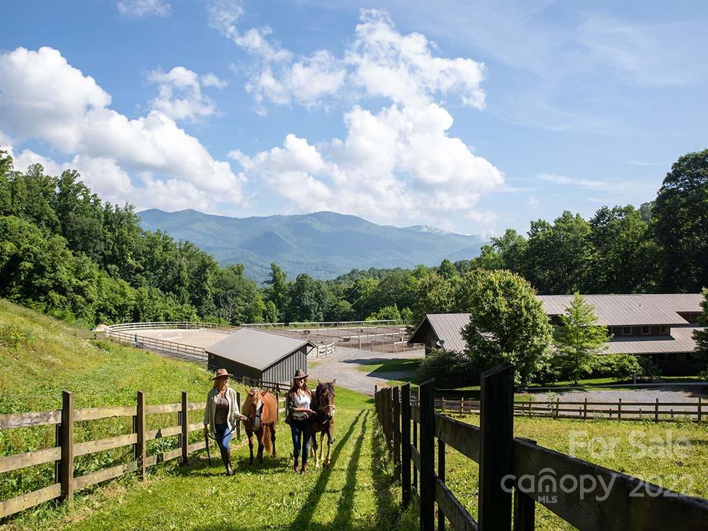 107 Boar Rdg Road, Unit 107 Sylva, NC 28779 - Photo 14 of 21