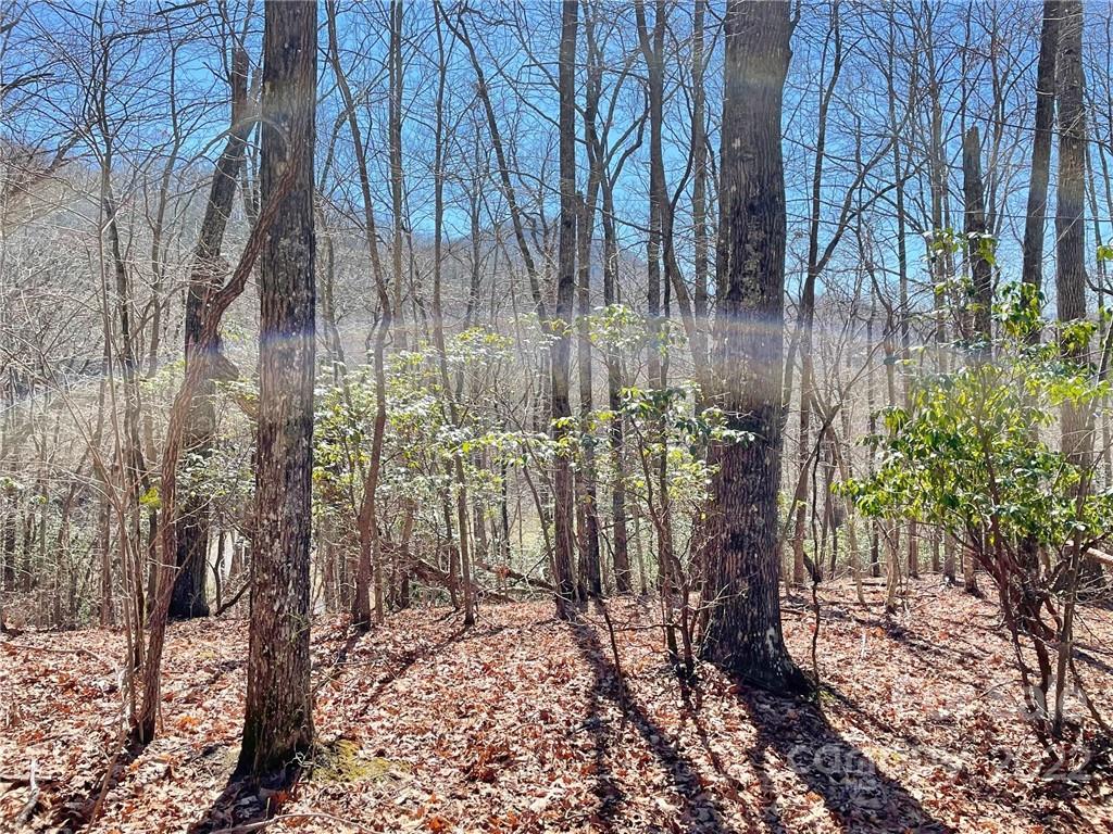 107 Boar Rdg Road, Unit 107 Sylva, NC 28779 - Photo 2 of 21