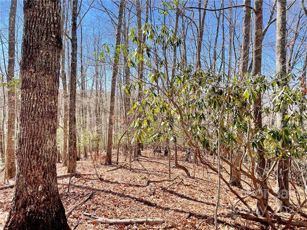 107 Boar Rdg Road, Unit 107 Sylva, NC 28779 - Photo 3 of 21