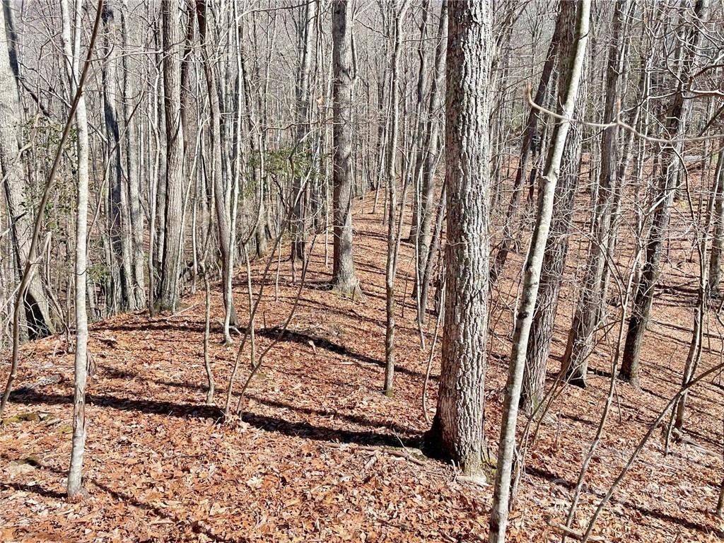 107 Boar Rdg Road, Unit 107 Sylva, NC 28779 - Photo 4 of 21
