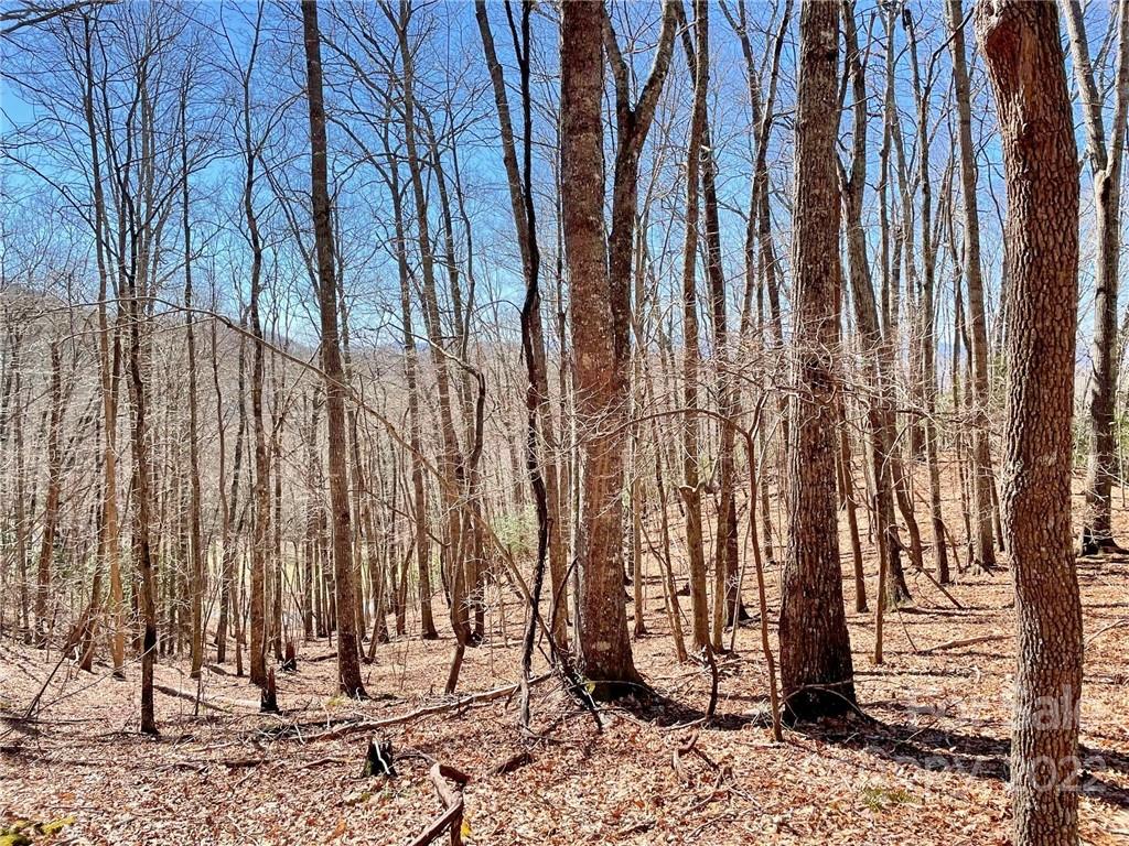 107 Boar Rdg Road, Unit 107 Sylva, NC 28779 - Photo 5 of 21