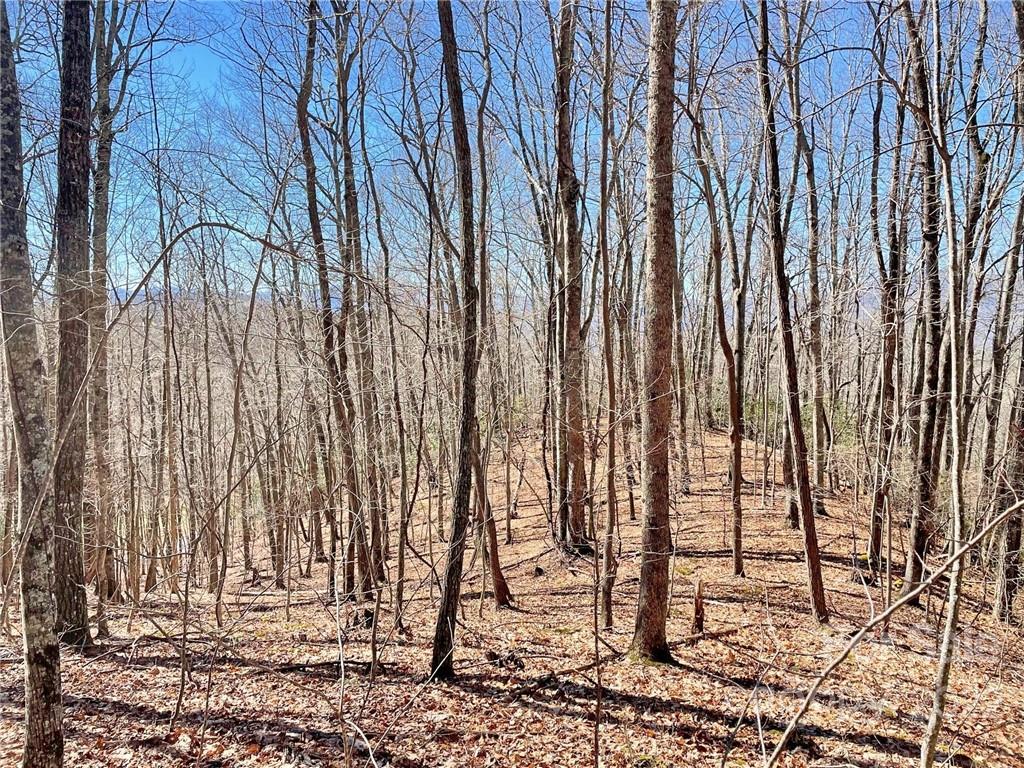 107 Boar Rdg Road, Unit 107 Sylva, NC 28779 - Photo 6 of 21