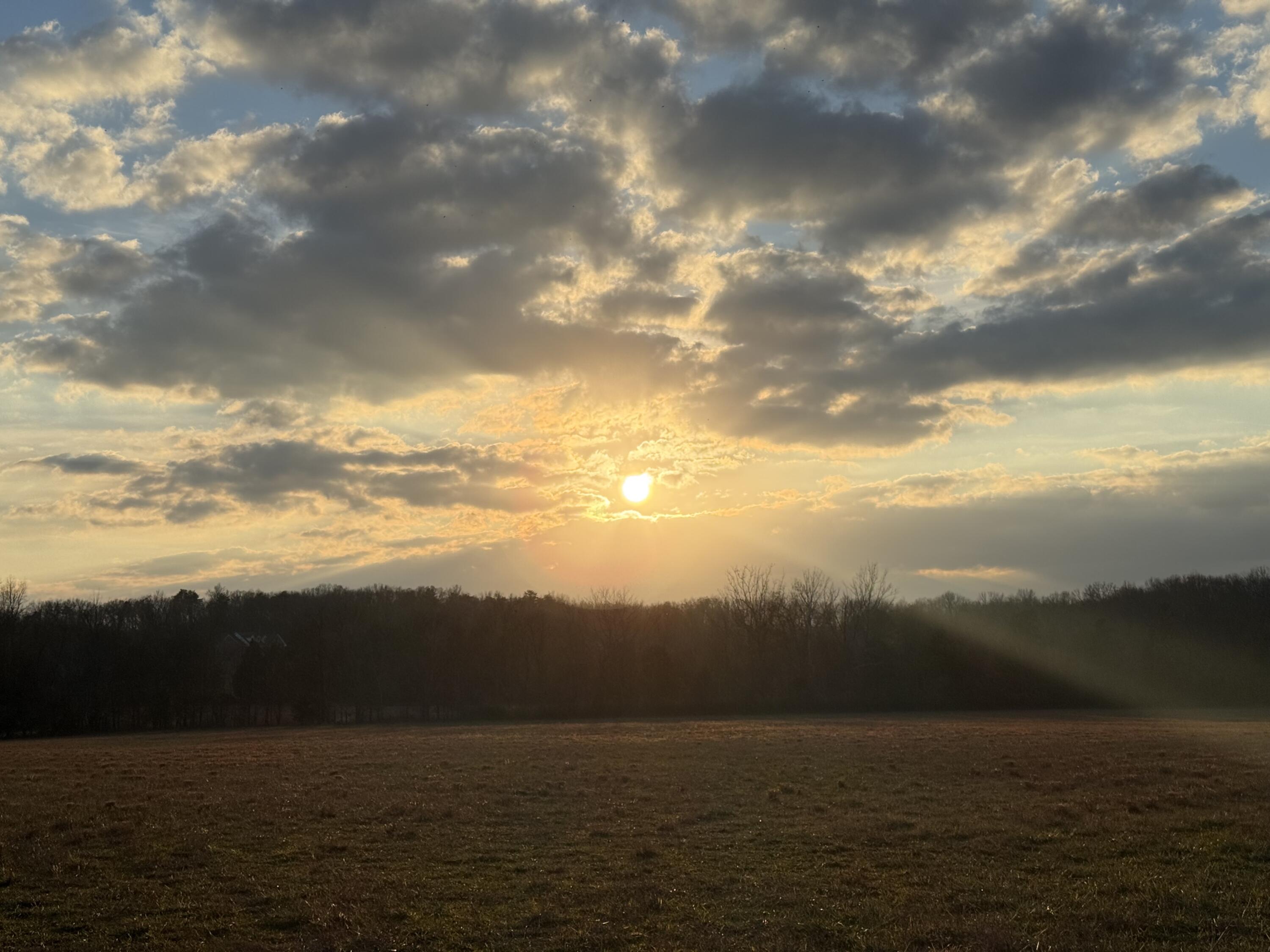 0 Brock Road Chickamauga, GA 30707 - Photo 15 of 15 Sunset on the farm