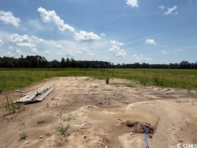 6692 Joyner Swamp Road Aynor, SC 29511 - Photo 13 of 16 Entry to storm shelter with a view of rural / pastoral area