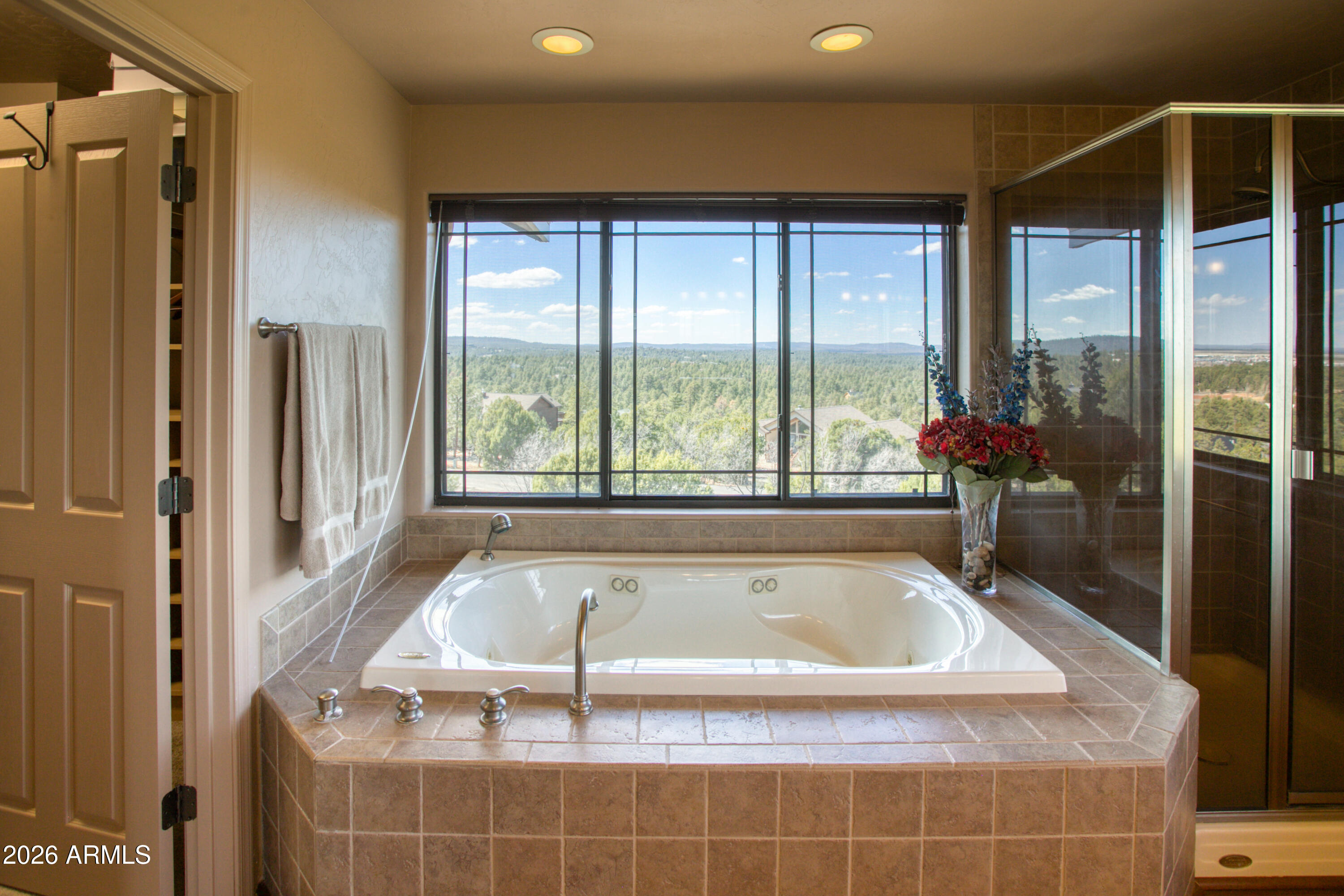 1511 South Canyon Ridge Trail Show Low, AZ 85901 - Photo 26 of 61 PaxmanPh_IMG_1200