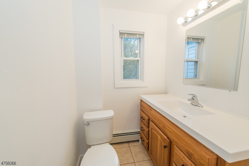 55 Madison Street, Unit 3 Newton, NJ 07860 - Photo 12 of 15 a bathroom with a sink a toilet and mirror