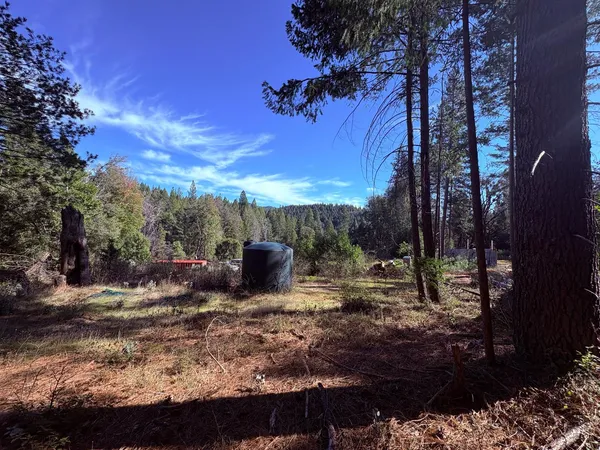 a view of a backyard with large trees