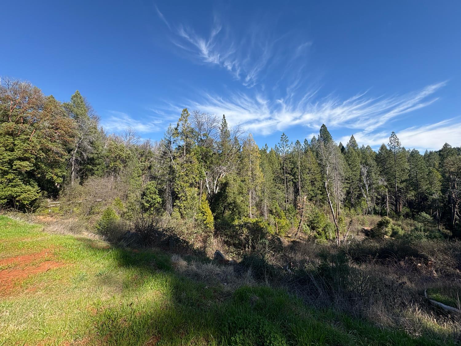 18853 North Canyon Road Nevada City, CA 95959 - Photo 5 of 7